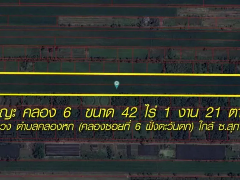 ที่ดินคลองหลวง ขนาด 42 ไร่เศษ คลอง 6 ฝั่งตะวันตก ธํญญะ