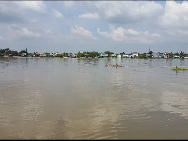 ขายที่ดินติดแม่น้ำเจ้าพระยา 532ตรวมีที่งอกเพิ่มอีก100กว่าตรว อสามโคก จปทุมธานี ที่ดินถมแล้วพร้อมทำเขื่อนเรียบร้อย ขายพร้อมบ้านไม้สัก2ชั้น1หลัง