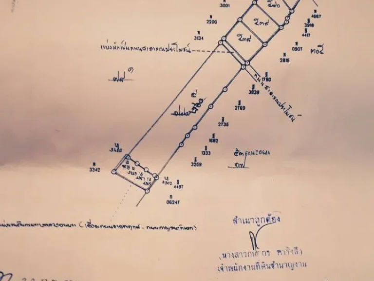 ที่ดิน ถนนราชพฤกษ์-กาญจณา บางเดื่อ อเมือง ปทุมธานี 10 ไร่ 1 งาน 73 ตารางวา