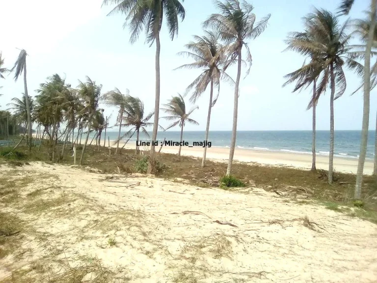 ที่ดินชายหาดทรายขาว