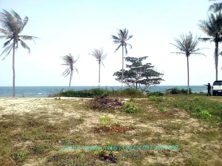 ที่ดินชายหาดทรายขาว