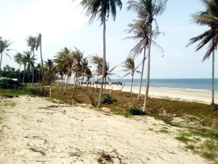 ที่ดินชายหาดทรายขาว