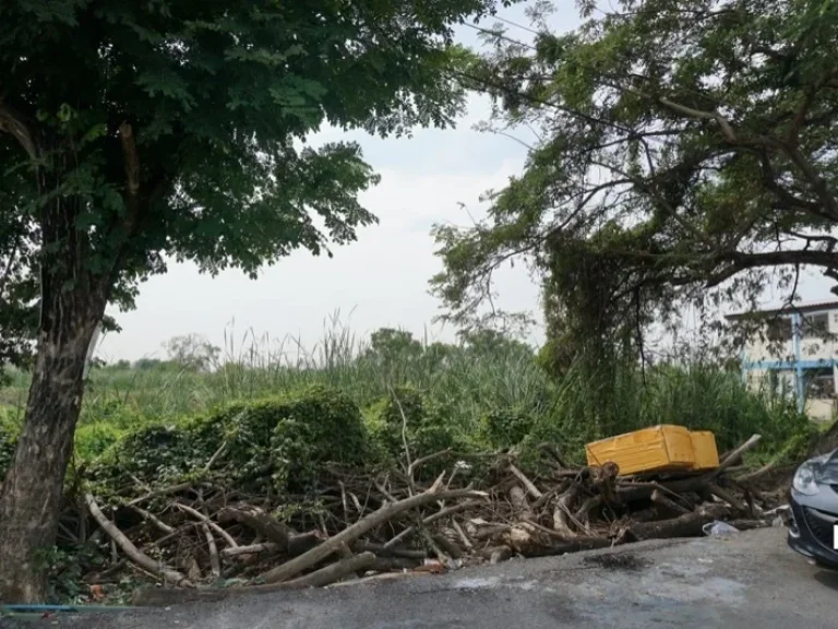 ที่ดินเปล่า แขวงคลองสอง เขตคลองหลวง ปทุมธานี 100 ตรว