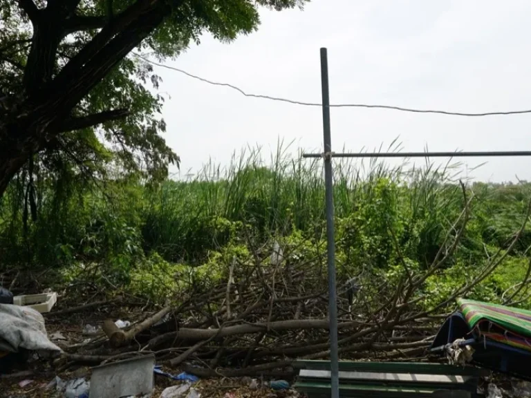 ที่ดินเปล่า แขวงคลองสอง เขตคลองหลวง ปทุมธานี 100 ตรว