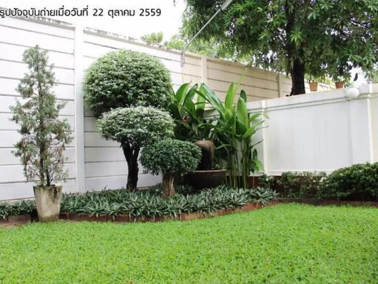 บ้านเดี่ยว หมู่บ้าน The Plant วัชรพล PPH-N292