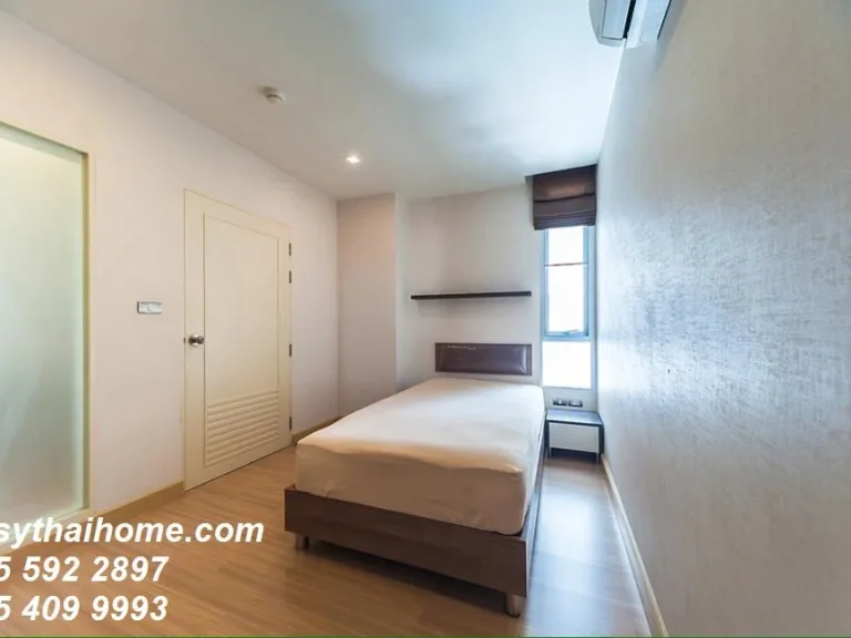 คอนโดให้เช่า Tree Condo Sukhumvit 42 ทรี คอนโด สุขุมวิท 42 Tree Condo Sukhumvit 42 สุขุมวิท พระโขนง คลองเตย 2 พร้อมอยู่ ราคาถูก