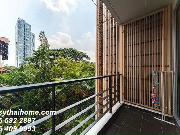 คอนโดให้เช่า Tree Condo Sukhumvit 42 ทรี คอนโด สุขุมวิท 42 Tree Condo Sukhumvit 42 สุขุมวิท พระโขนง คลองเตย 2 พร้อมอยู่ ราคาถูก