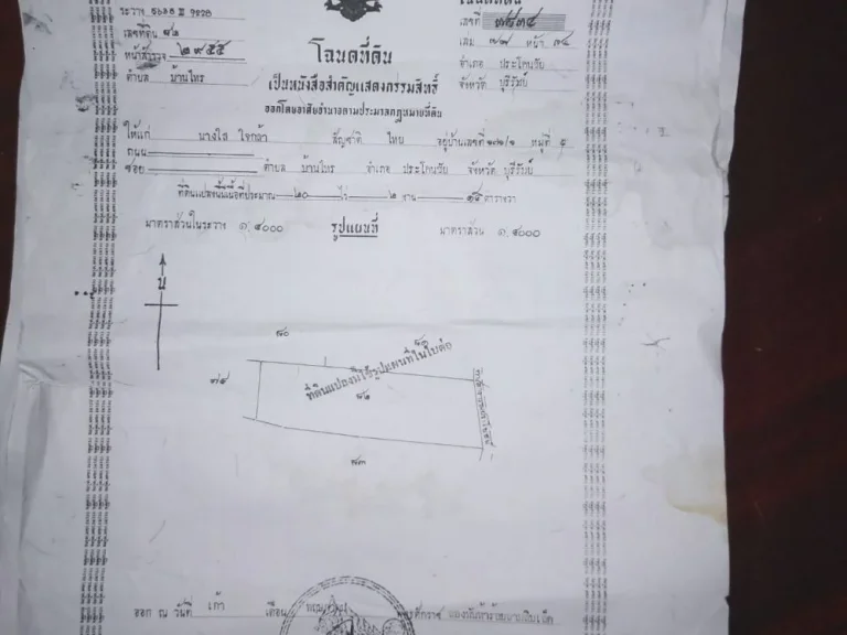 ขายที่ดิน 9 ไร่ 40 ตารางวา ติดถนน มีไฟฟ้า ระหว่างบ้านไพบูลย์-บ้านน้อย เจ้าของขายเอง ราคาคุยกันได้