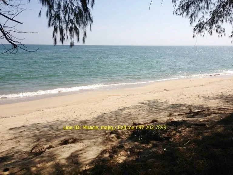 ที่ดินติดหน้าชายหาดหลังติดคลองน้ำกร่อย