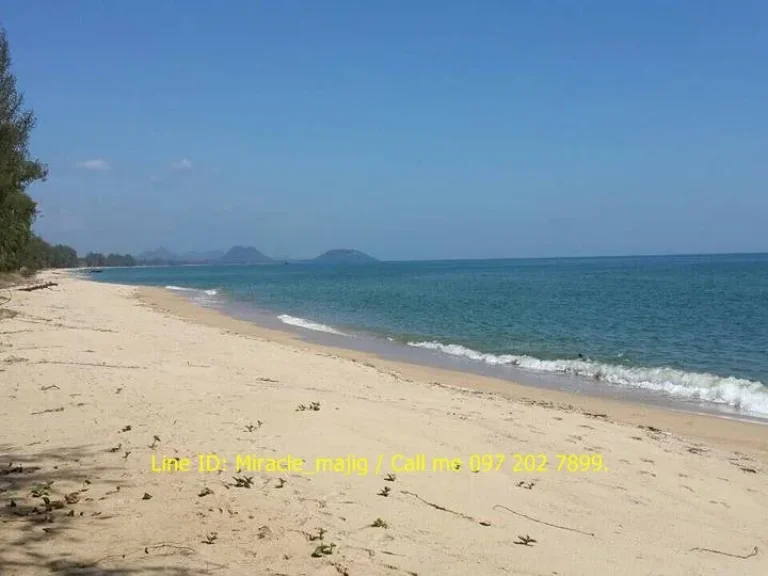 ที่ดินติดหน้าชายหาดหลังติดคลองน้ำกร่อย