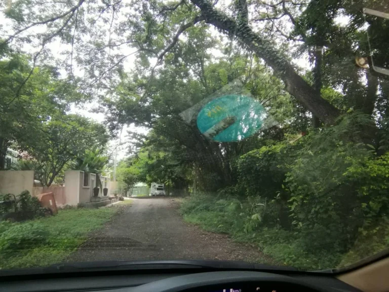 ขายที่ดินหลังโรงเรียนวารี เชียงใหม่