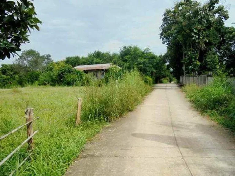 ที่ดินเปล่า แปลงสวย นาน้อย น่าน