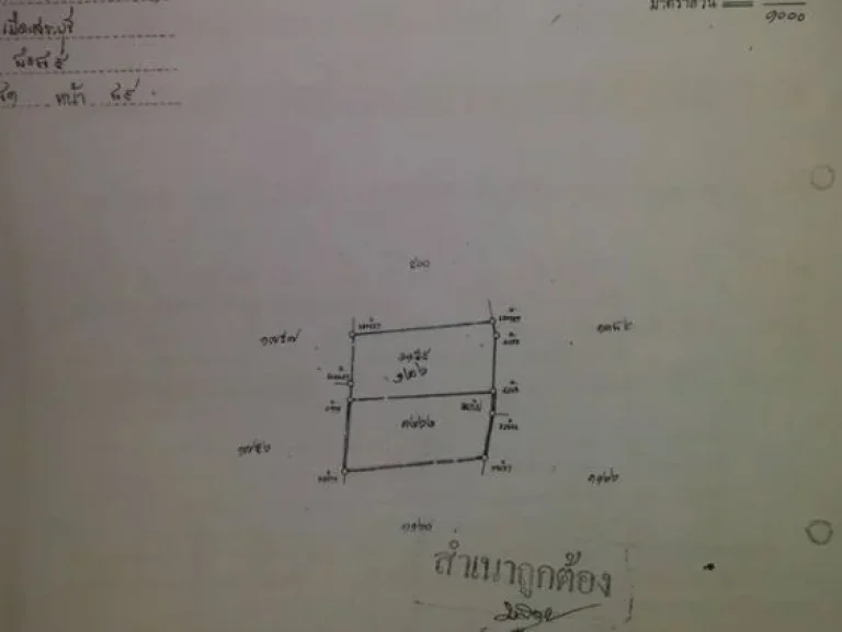 ขายที่ดิน 2 งาน 3 ตรว ถนนเทศบาล 2 ระหว่าง ซ101 กับ ซ11 ตโคกสว่าง อเมือง จสระบุรี