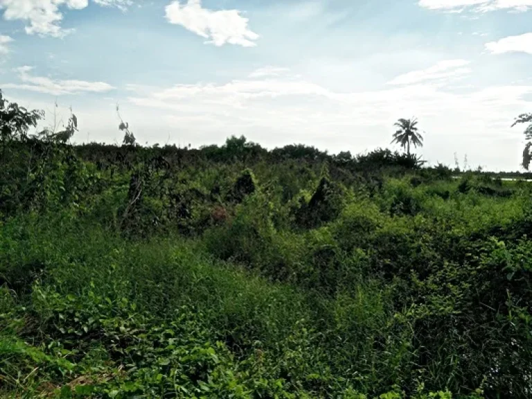 ที่ดินเปล่า ตำบลระแหง อำเภอลาดหลุมแก้ว ปทุมธานี 10ไร่ 1งาน 46ตรว