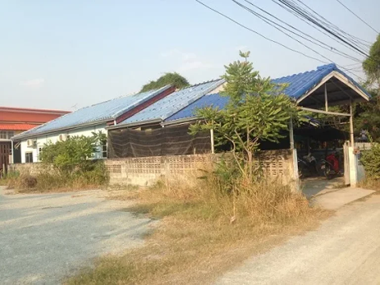 ขายด่วนบ้านเดี่ยวชั้นเดียวอยู่บางแสนซอยสุกใสโฮเต็ล ตรอก 9 ซอย 4 ตำบลแสนสุข