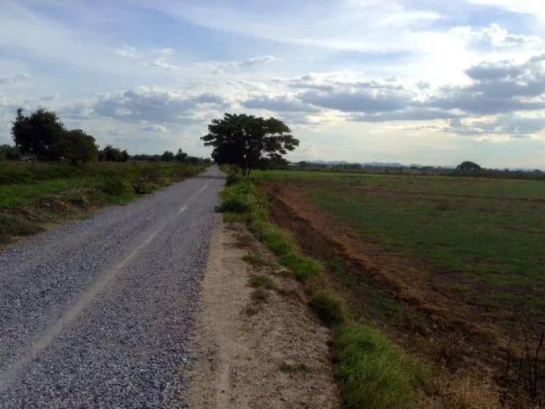 ขายที่ดิน ผืนใหญ่ เมืองสุพรรณฯ