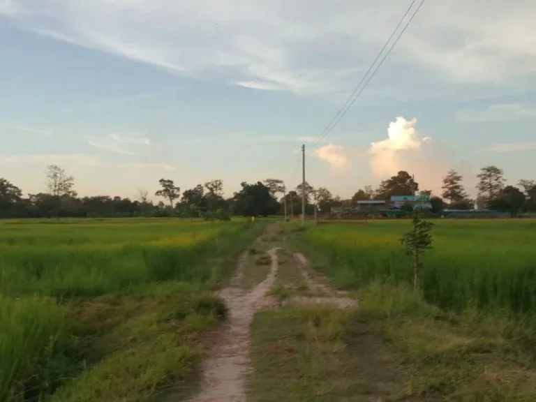 ที่ดิน บุรีรัมย์ 2 ไร่