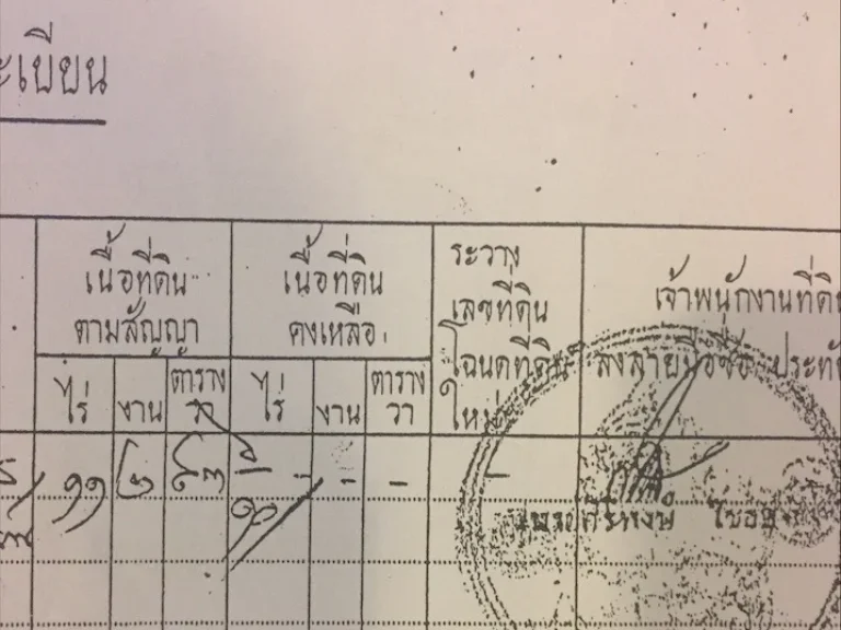 ขายที่ดินแปลงสวย 117 ไร่ อภูเพยง จน่าน ใกล้วัดพระธาตุแช่แห้ง ห่างจากตัวเมืองวัดภูมินทร์ เพียง 7 กิโลเมตร