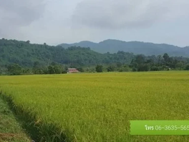 ขายที่ดิน วิวเขา มีโฉนด ติดถนนคอนกรีต เขาเพิ่ม นครนายก