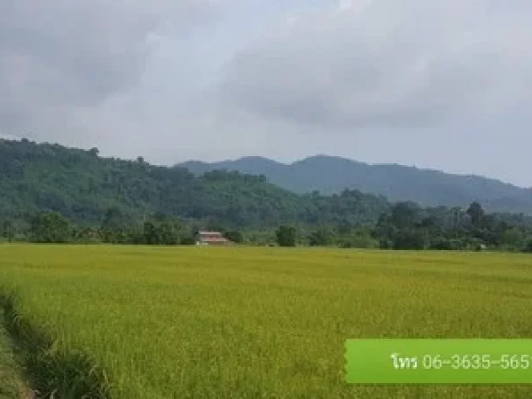 ขายที่ดิน วิวเขา มีโฉนด ติดถนนคอนกรีต เขาเพิ่ม นครนายก