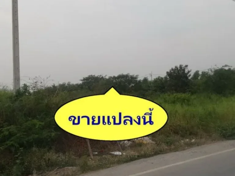 ขายที่ดินติดถนนคู่ขนานมอเตอร์เวย์ รังสิต คลองสี่ คลองหลวง เนื้อที่ 11 ไร่