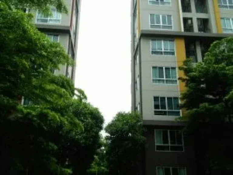 ให้เช่า ดีคอนโด แคมปัส ห้องริมวิวสวน 10000 บด DCONDO CAMPUS RESORT BANGNA for rent Just THB 10000 per month