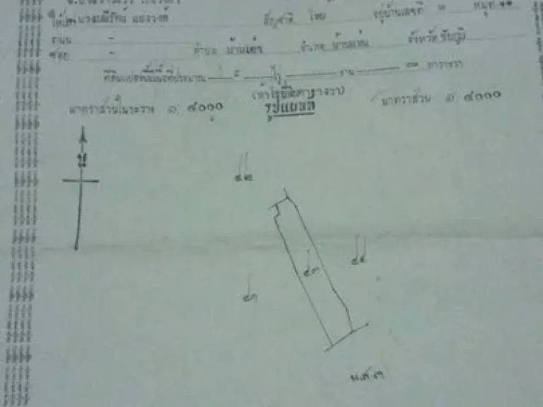 ขายที่ดิน ที่นา 5 ไร่ ทำเลดีใกล้ตัวเมืองบ้านแท่น ติดถนนคอนกรีตและคลอง