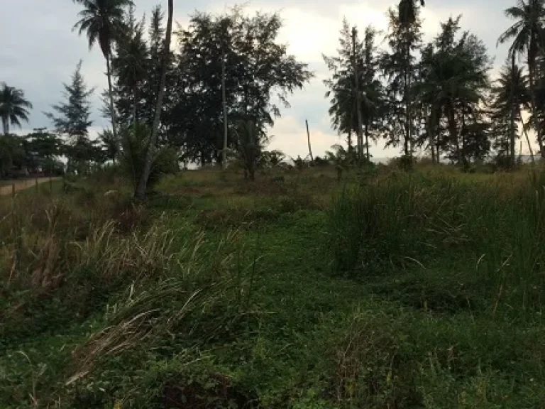 ที่ดินติดทะเล แหลมสิงห์ 2 ไร่กว่า หาดแหลมสิงห์ จันทบุรี