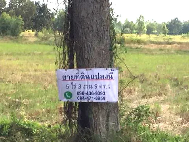 ขายที่ดินบุรีรัมย์ ประโคนชัย ติดถนน ทำเลทอง 