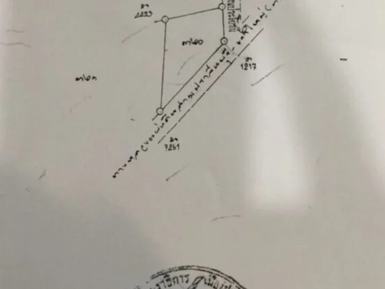 ที่ดินขนาด1ไร่ ห่างจากดาษดาประมาณ100เมตรอยู่ด้านซ้ายมือติดถนนลาดยาง