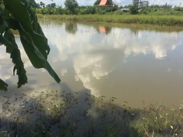 ขาย ที่ดิน จังหวัดอยุธยา ทำเลดี การเดินทางสะดวก