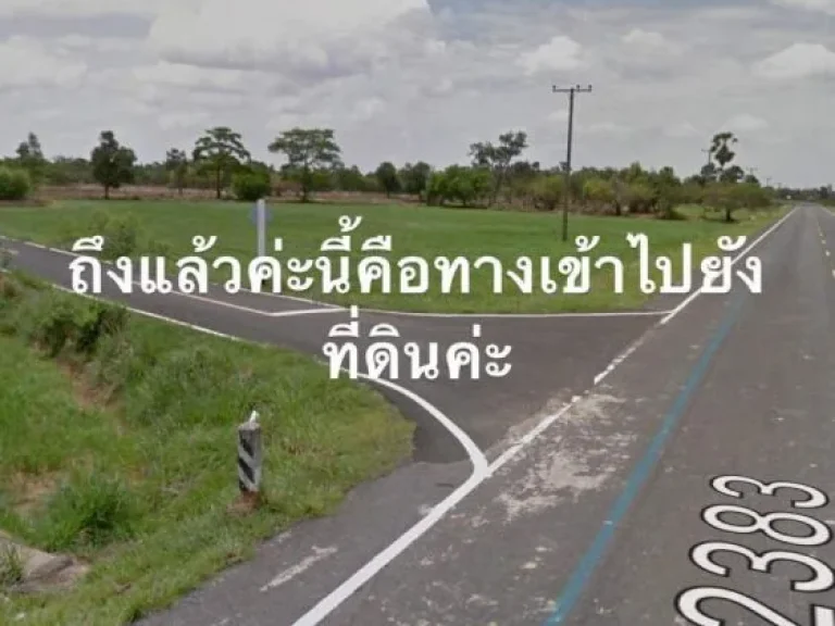 ต้องการขายที่ดิน 5 ไร่ 65 ตรวติดถนนหลักเส้น 2383