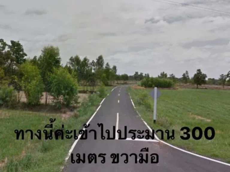 ต้องการขายที่ดิน 5 ไร่ 65 ตรวติดถนนหลักเส้น 2383