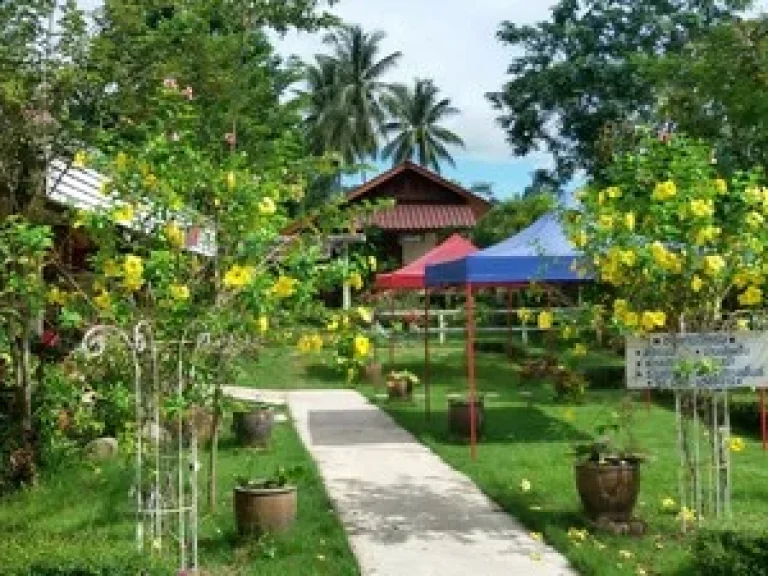 ขายรีสอร์ทแบบธรรมชาติพร้อมดำเนินกิจการต่อได้เลยเจ้าของขายเองไม่มีคดีอะไรแค่เจ้าของทำไม่ไหว