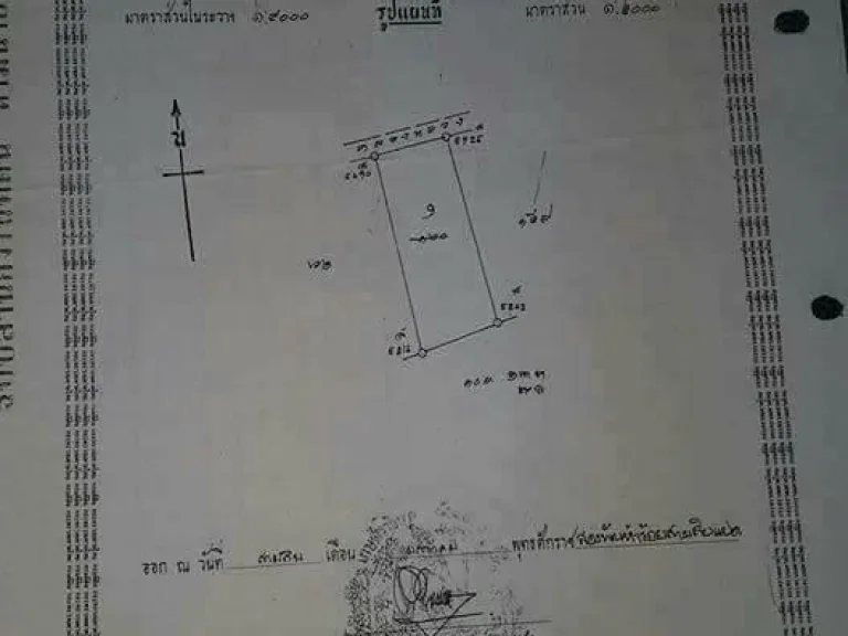 ขายเหมายกแปลง 7 ล้านบาท อบ้านแพ้ว สมุทรสาคร