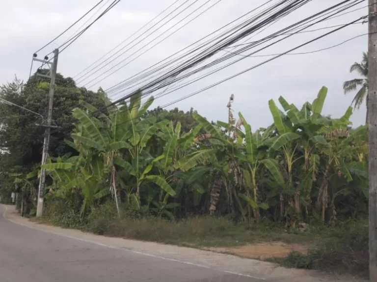 ขายที่ดินติดถนนซุปเปอร์ วงแหวนรอบสอง