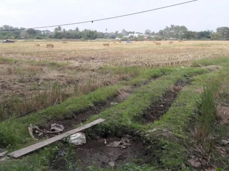 ขายที่ดินติดถนนซุปเปอร์ วงแหวนรอบสอง