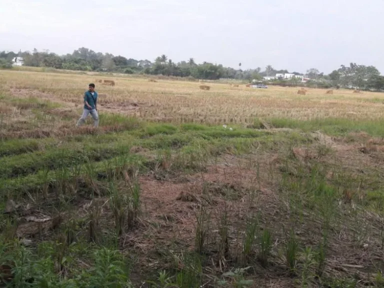 ขายที่ดินติดถนนซุปเปอร์ วงแหวนรอบสอง