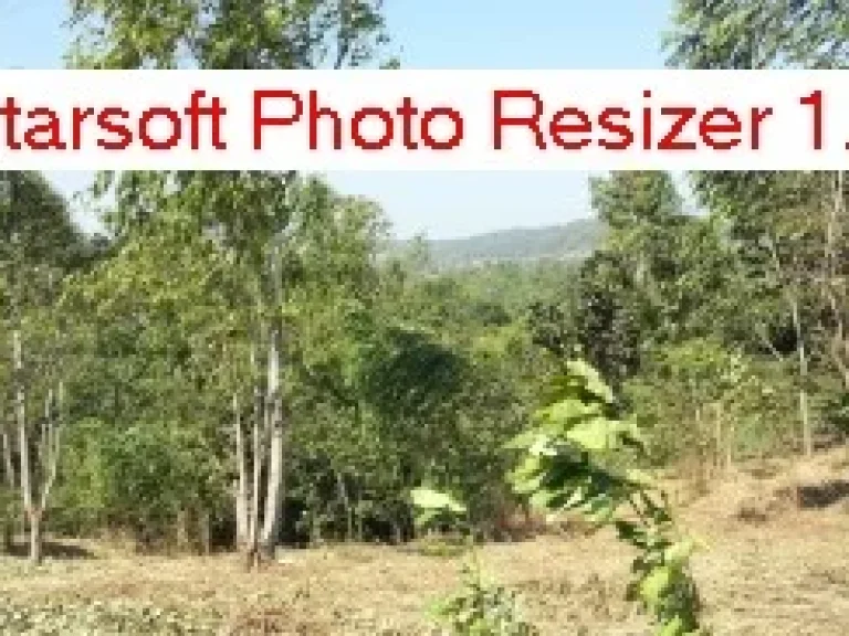 ที่ดิน 4ไร่สวยติดถนนคอนกรีตในหมู่บ้าน น้ำ ไฟฟ้าพร้อม วิว 360 องศา คนต่างชาติซื้อได้