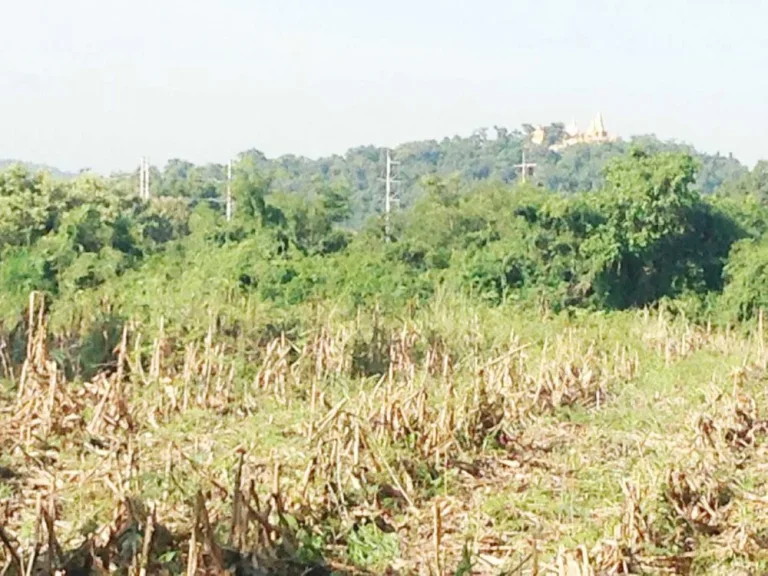 ที่ดินติดแม่น้ำป่าสัก 10 ไร่ สระบุรี วิวภูเขา