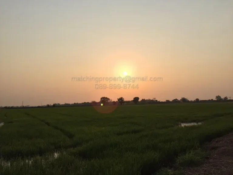 ขายที่ดิน 17 ไร่ อำเภออุทัย อยุธยา ใกล้นิคมฯโรจนะ แปลงสวย ทำเลดี