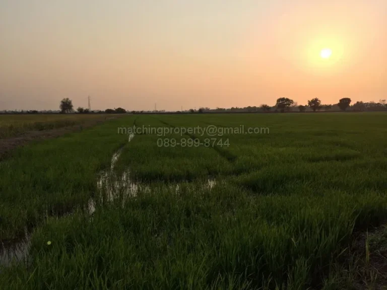 ขายที่ดิน 17 ไร่ อำเภออุทัย อยุธยา ใกล้นิคมฯโรจนะ แปลงสวย ทำเลดี