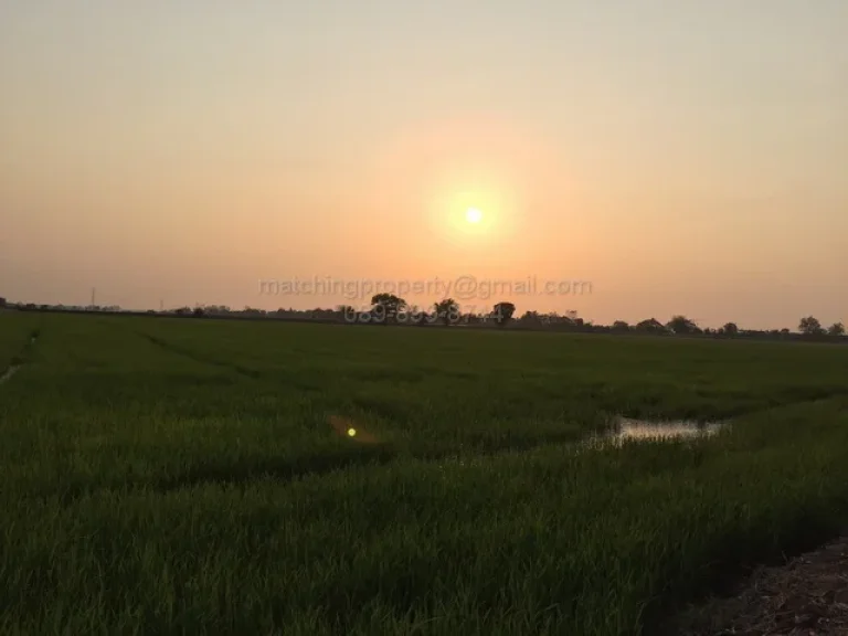 ขายที่ดิน 17 ไร่ อำเภออุทัย อยุธยา ใกล้นิคมฯโรจนะ แปลงสวย ทำเลดี