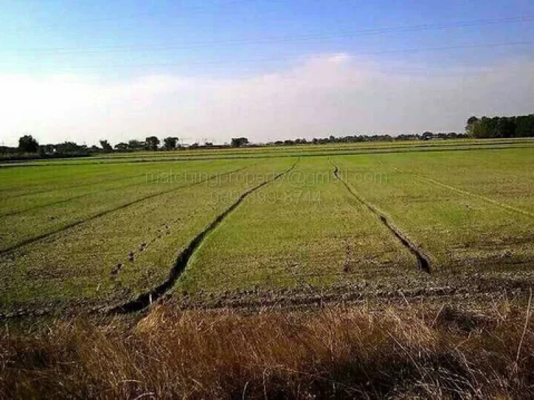 ขายที่ดิน 17 ไร่ อำเภออุทัย อยุธยา ใกล้นิคมฯโรจนะ แปลงสวย ทำเลดี