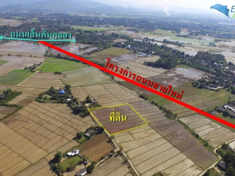 ที่นา 4-3-62 ไร่ ใกล้จุดตัดถนนสายใหม่ 60เมตร ที่ดินเป็นสี่เหลี่ยม สำหรับเก็งกำไร