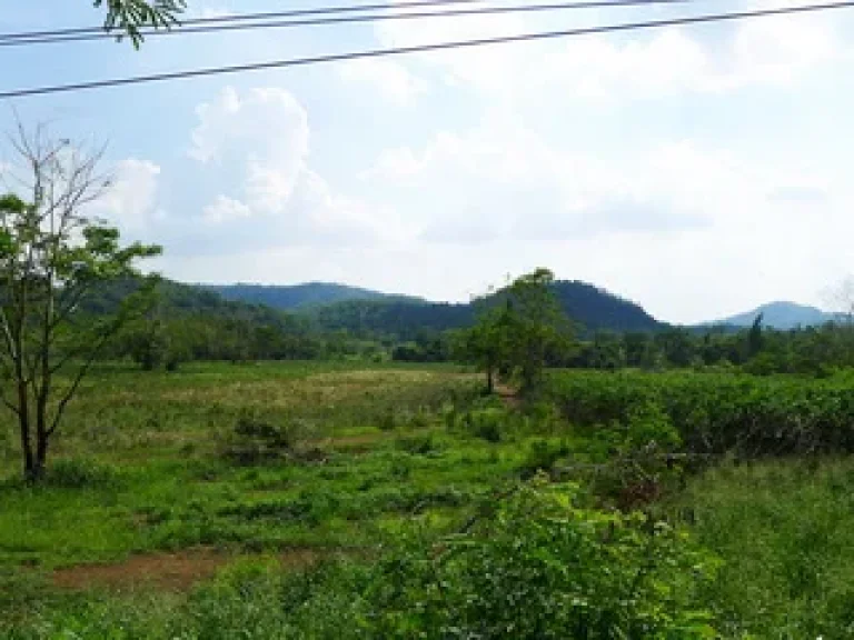 ที่ดิน สระบุรี-แก่งคอย ถนนมิตรภาพ อแก่งคอย จสระบุรี