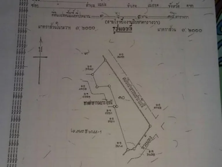 ขายที่ดิน ทำเลทอง มีโฉนด พื้นที่เขตเศรษฐกิจพิเศษ