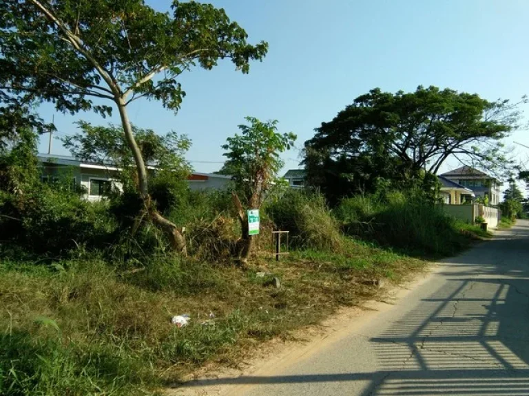 ขายที่ดินในซอย ทำเลสวย เนื้อที่ 500 ตรว รูปแปลงสวยเหมาะกับการทำที่อยู่อาศัย