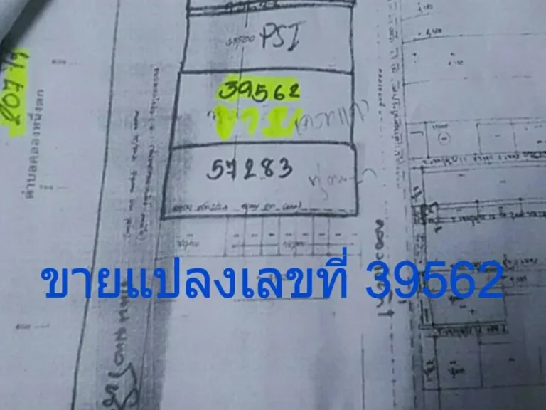 ขายด่วนที่ดินถมแล้ว พื้นที่ 5 ไร่ 171 ตารางวา ติดถนนพหลโยธิน จปทุมธานี