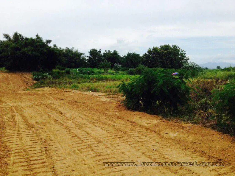 ขายที่ดินติดแม่นำ้ปิง